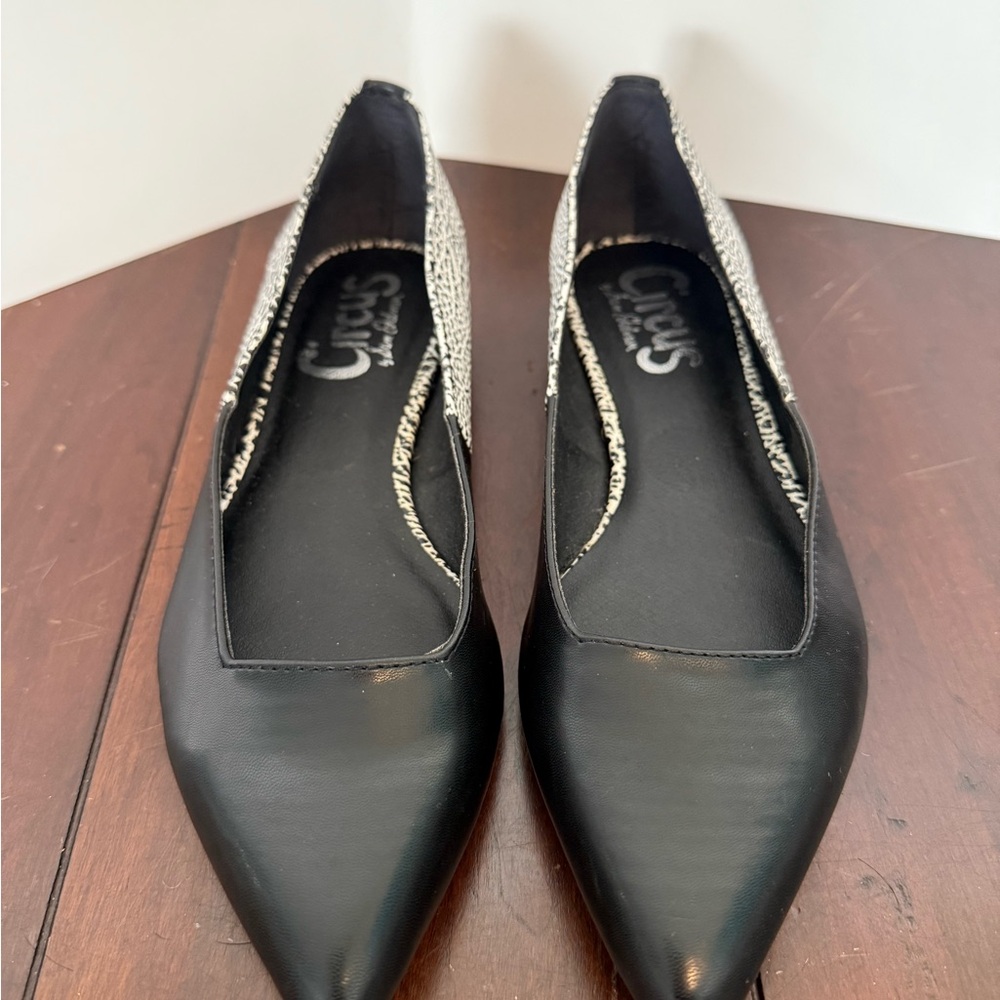 Circus by Sam Edelman Black and White Women's Pointed Flats